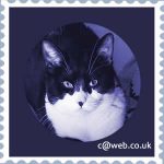 Catweb Logo